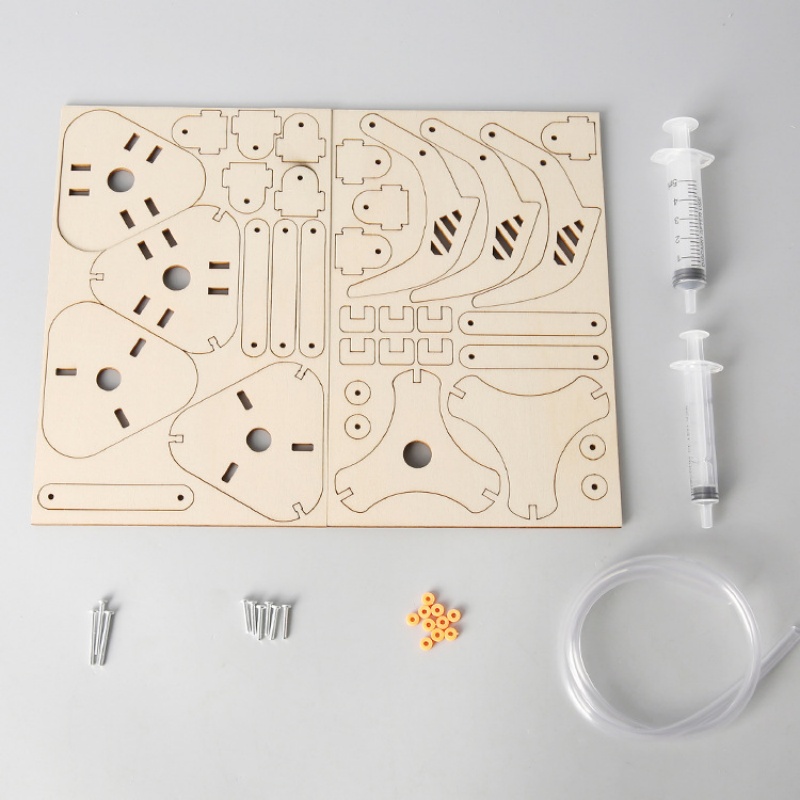 Kit de Brinquedos de Experimen - Science Project Kit avaliação e preço