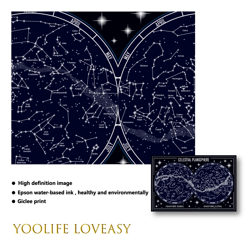 Mapa do planisfério celestial, - Star Map Poster avaliação e preço